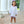 Dino Adventures Ruffle Bloomer Set