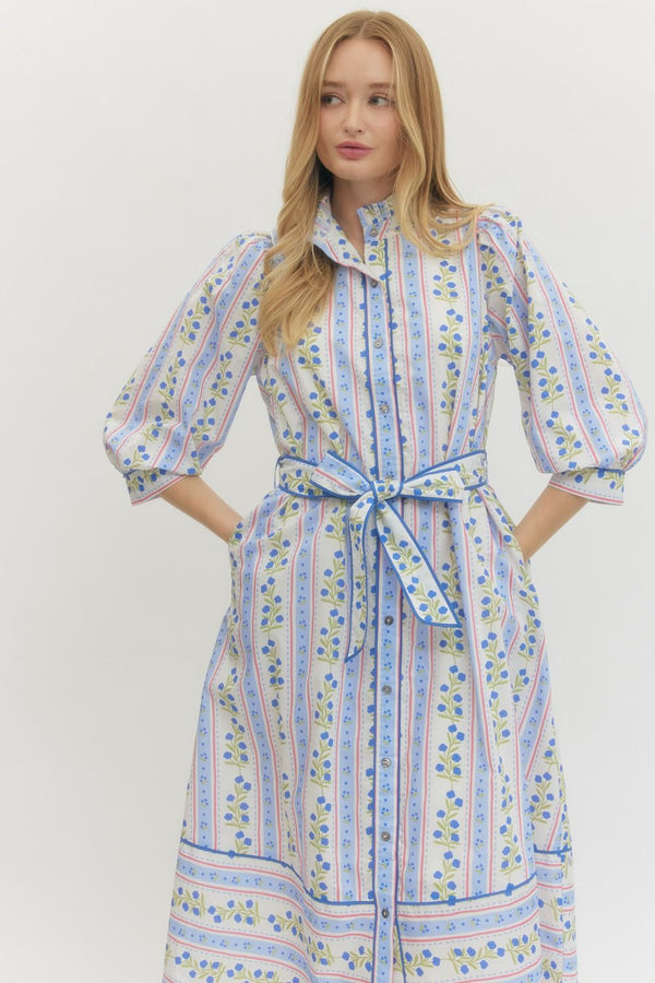 Floral Stripe Puff Sleeve Dress- Blue