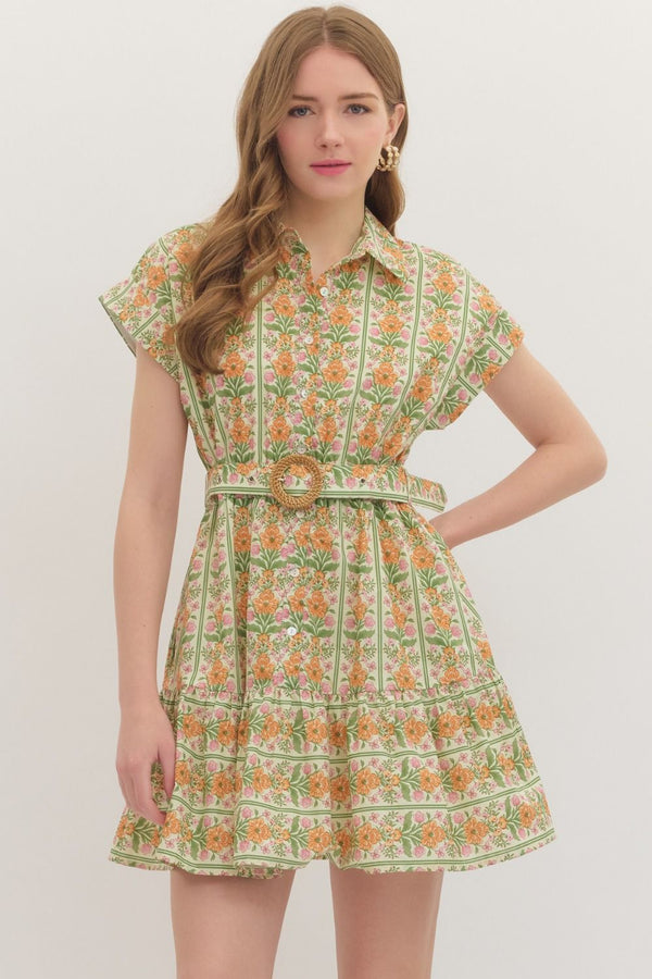 Botanical Stripe Print Dress- Orange