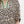 Rib Band Split Neck Top- Leopard Print