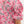 Floral Print Scallop Hem Top- Pink