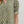 Botanical Print Puff Sleeve Top- Olive