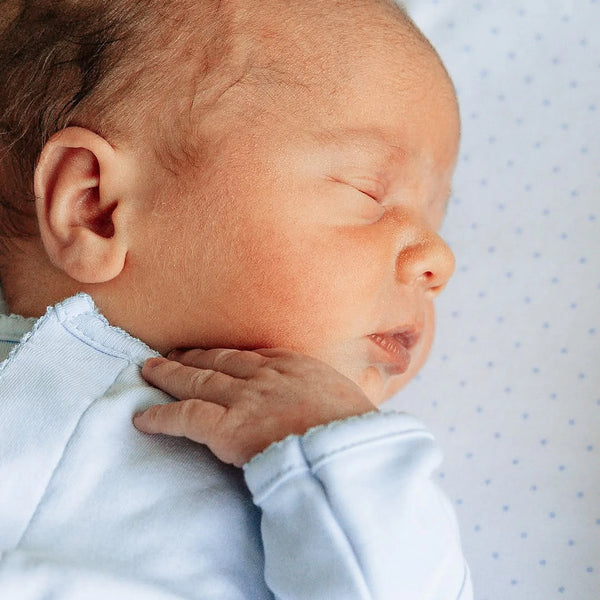 Essentials Solid Blue Converter