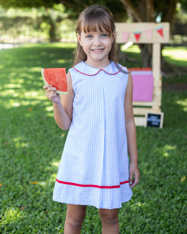 Sienna Dress- Lt. Blue Windowpane