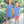 Apple Pocket Dress