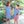 Apple Pocket Short Set
