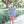 Apple Pocket Short Set