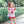 Bookworm Bloomer Set