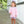 Katherine Bloomer Set- Light Pink Stripe/Lavender