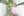 Katherine Bloomer Set- Light Pink Stripe/Lavender