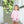 Katherine Bloomer Set- Light Pink Stripe/Lavender