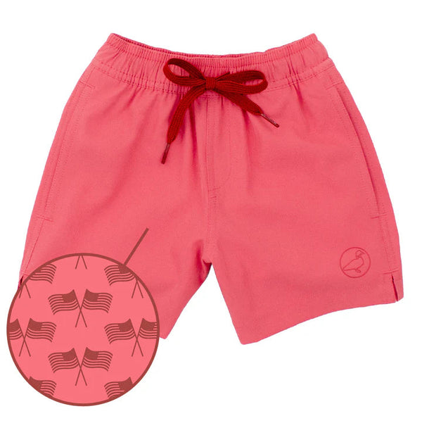 Splash Swim- Freedom Flag