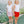 Sophie Scallop Skort- Red