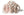 Putty Nursery Blush Bunny- 11