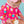 One Piece Rash Guard Swimsuit- Sweet Scoops