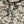 Thermal Hoodie- Classic Deer Camo (Men's)