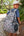Backpack- Classic Deer Camo