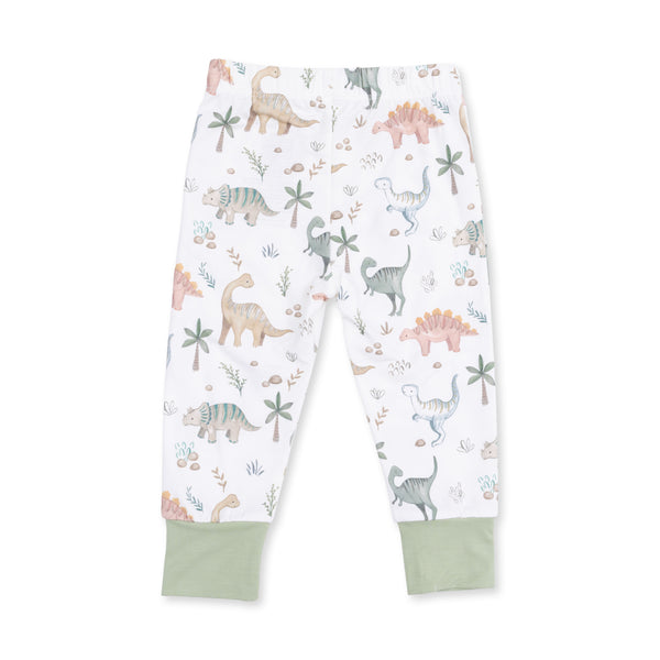 Sweet Baby Dinos Loungewear Set