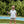 Youth Performance Polo- Tap It In