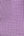 Waist Tie Check Shorts- Purple
