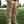 Theodore Pant- Khaki