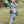Rainmaker Fishing Pant-  Prodoh Boy's Camo
