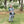Rainmaker Fishing Pant-  Prodoh Boy's Camo