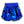 Load image into Gallery viewer, Royal Blue Metallic Shorts
