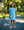 Crayon Pocket Applique Dress